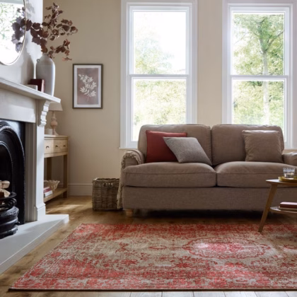 Alexia Chenille Vintage Rug