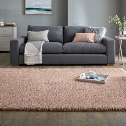 Cosy Soft Shaggy Rug