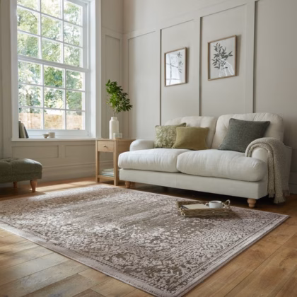 Maia Traditional Distressed Rug