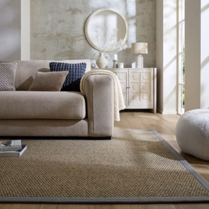 Sisal Look Border Easy Care Rug