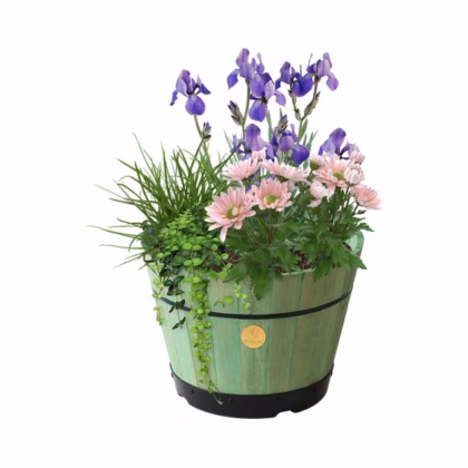 VegTrug Medium Build a Barrel Kit