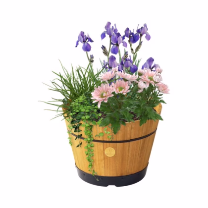 VegTrug Medium Build a Barrel Kit