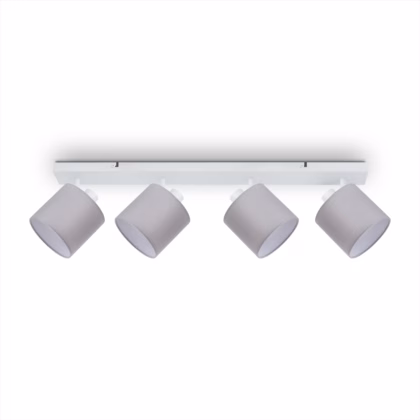 Wall and ceiling light Alina