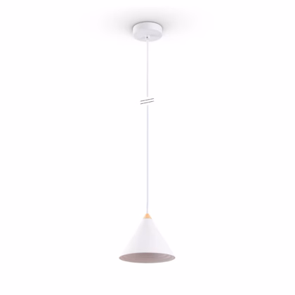 Pendant light Polina