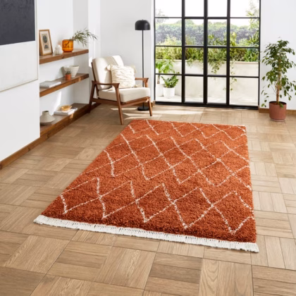 Boho 8280 Rug