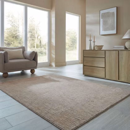 Fionn Textured Rug