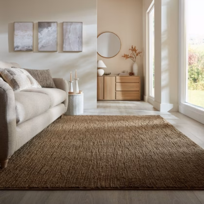 Fionn Textured Rug